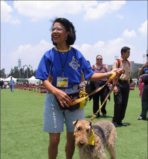 如何训练你的宠物不咬人——万能梗犬咬人训练技巧（有效避免万能梗犬的攻击，助你和宠物和平相处）