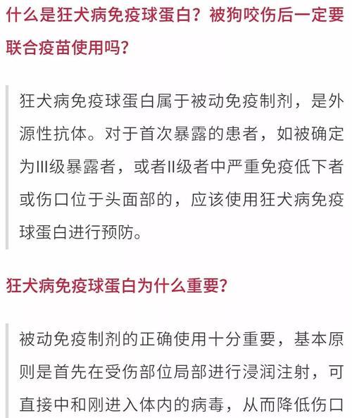 狗狗疫苗为何需三针？（保护狗狗免受疾病侵害的必要性）