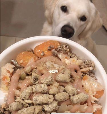 打造健康的金毛犬饮食计划（宠物的健康离不开科学饮食）