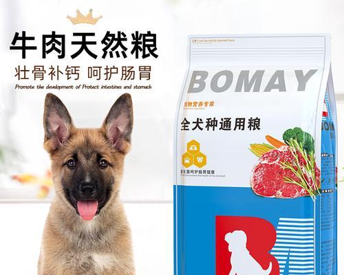 以马犬幼犬能否食用成犬狗粮？