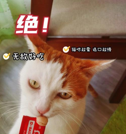 宠物猫不只爱吃鱼？！（探究猫咪的食性和日常饮食习惯）