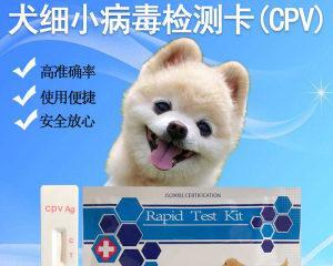 犬细小病毒——危害及防护措施（为了宠物健康，从防控犬细小病毒开始）