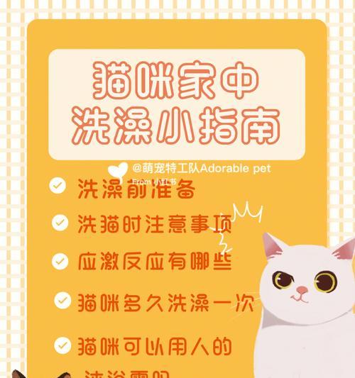 在家DIY猫咪清洁（猫咪洗澡清洁的必备指南，一起来学习吧！）