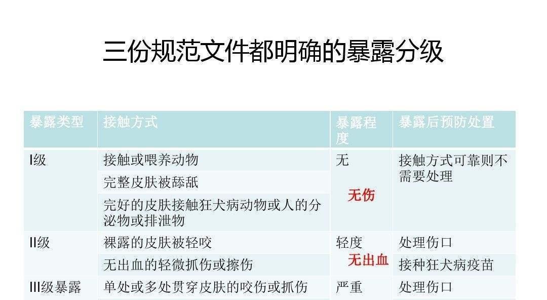 注射狂犬疫苗的注意事项（如何保障宠物健康安全）