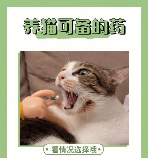 如何正确地给宠物猫咪做清洁护理？（掌握这些技巧，让你的猫咪更健康更舒适！）