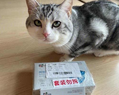 小猫体外驱虫有效期多久？（探究宠物体外驱虫的保护时间）