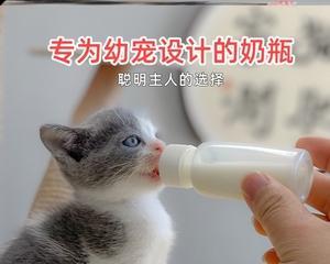 小猫幼崽用奶瓶喂不吃怎么办？（宠物照顾技巧，教你如何喂养小猫幼崽）