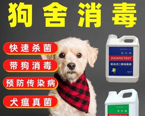 如何科学养护幼犬，预防细小犬瘟？（详解幼犬日常饮食、生活环境、定期检查及接种疫苗的方法）