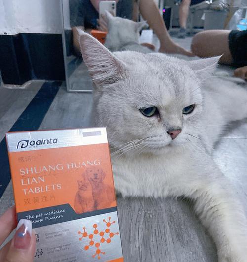 猫咪感冒了怎么办？（如何帮助宠物缓解打喷嚏的症状？）