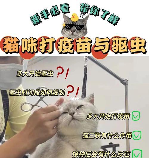 以犬用疫苗为什么要间隔21天（了解宠物疫苗接种间隔的重要性）