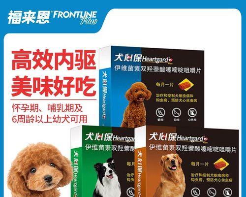 母犬怀孕期间可以安全使用的驱虫药（保护宠物和胎儿免受寄生虫的影响）