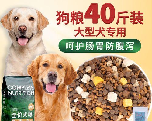 如何合理给3个月大的拉布拉多犬喂食（从每餐食量到营养配比，打造健康宠物饮食计划）