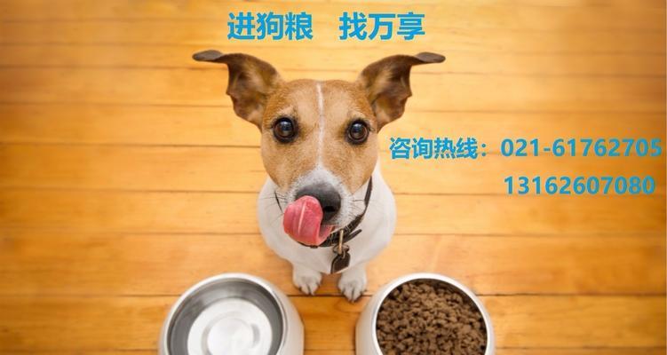 狗狗换狗粮后大便频繁（宠物主人必看）