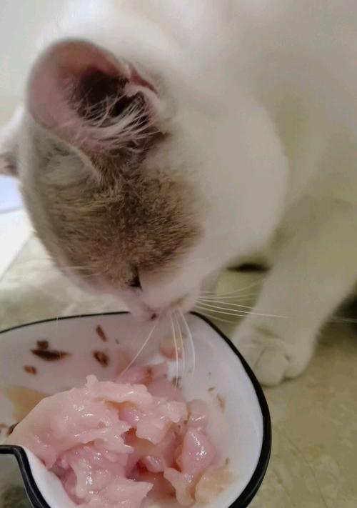 以生肉为主的猫咪饮食（给宠物猫咪提供健康饮食）