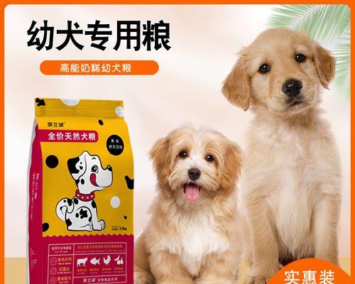 金毛犬幼年期饮食指南（以一岁为界限）