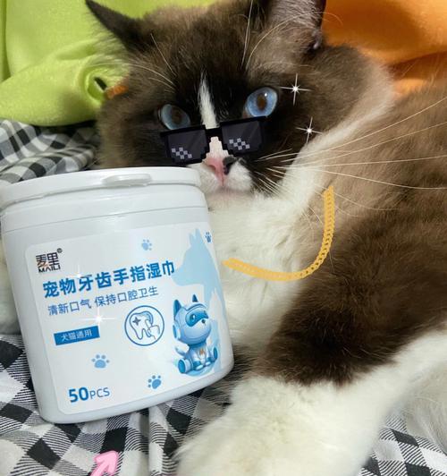 酒精湿巾擦猫咪屁股——该不该这么做（以宠物为主）