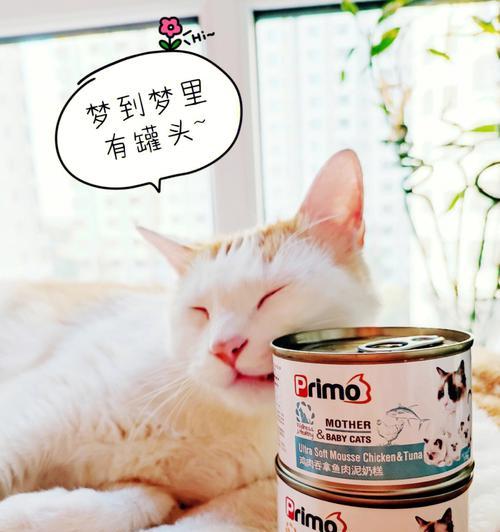 小猫奶糕的适宜食用量（如何掌握小猫奶糕的喂养量）