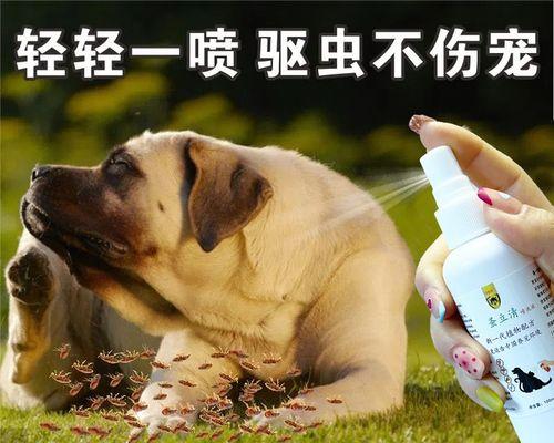 小猫闹眼晴该用哪些药（以宠物为主）