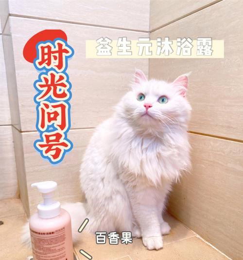 小猫同款沐浴露，让宝宝肌肤更健康（选择适合婴儿的沐浴露）