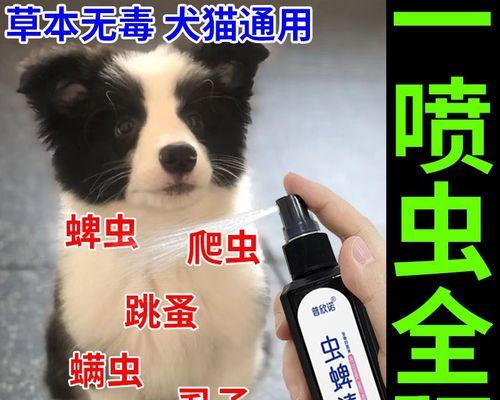 小猫的驱虫药怎么上（宠物健康的保障）