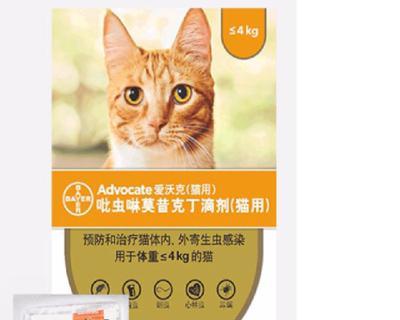 小猫何时应该开始打驱虫药？