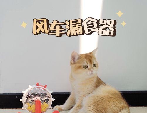 小猫为什么喜欢球（探究宠物猫喜欢球的原因）