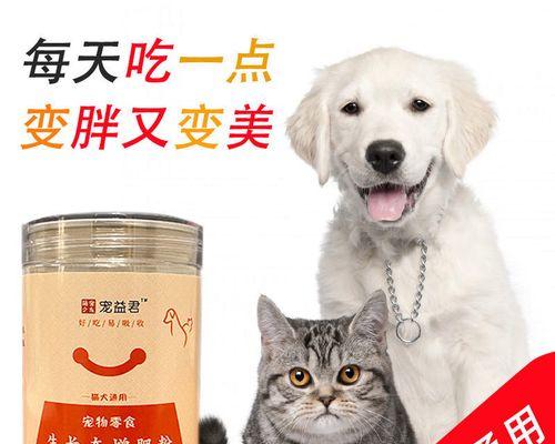 宠物小猫胃不好吃该如何治疗（用药治疗小猫胃不适的实用方法）