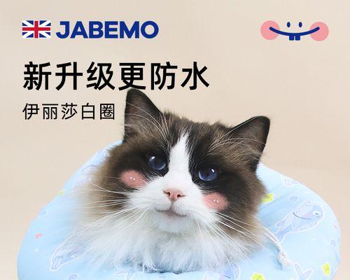 小猫为什么会咬自己（探究小猫咬自己的原因与解决方法）