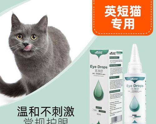 宠物小猫的药品指南（选择正确的药品保护你的小猫健康）