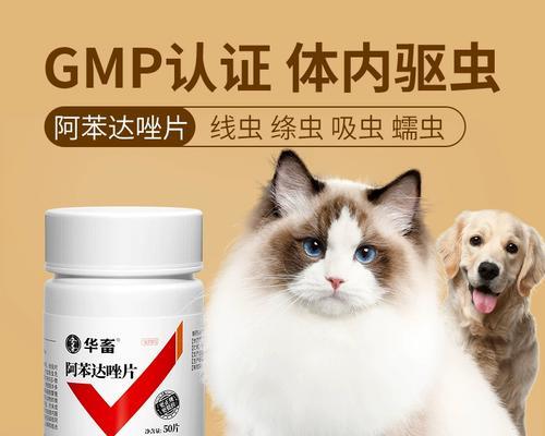 如何让宠物猫正确服用打虫药（以小猫为例）