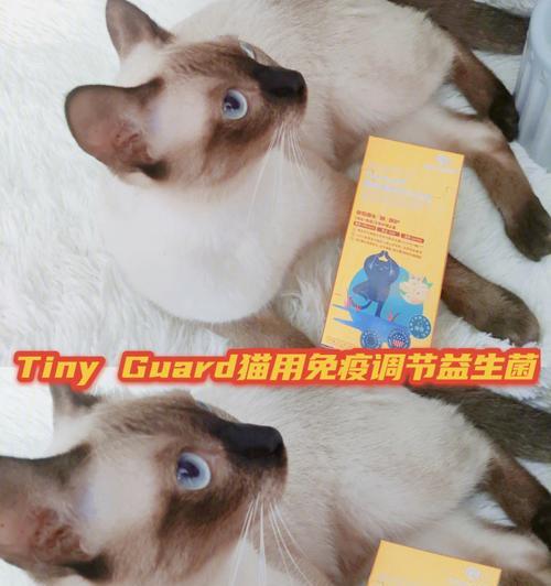 小猫健康从口开始——以小猫益生菌咋吃为例