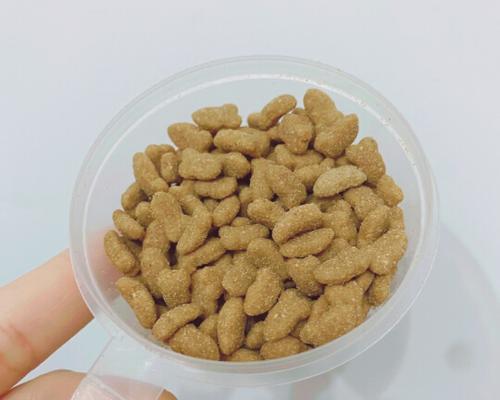 以小小猫粮为主的宠物食品（如何为宠物选择合适的食品）