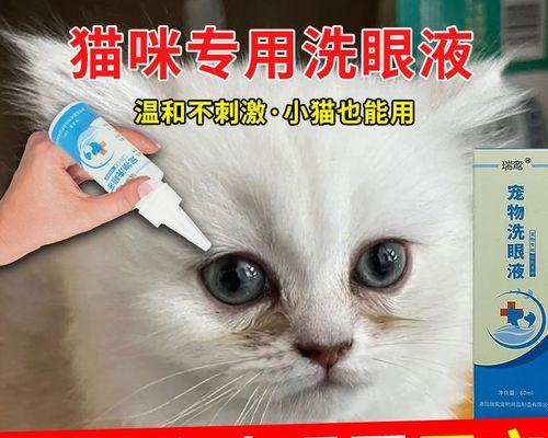 轻松解决猫咪泪痕问题（宠物主人必备的护理技巧）