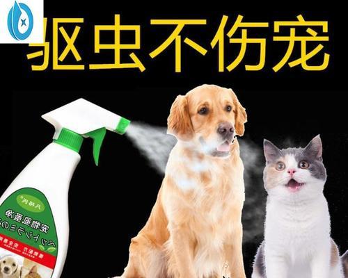 如何有效除去宠物猫咪身上的跳蚤（掌握有效方法）