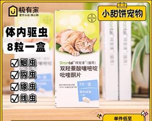 宠物医院猫咪驱虫之必要性（保护宠物健康从小事做起）