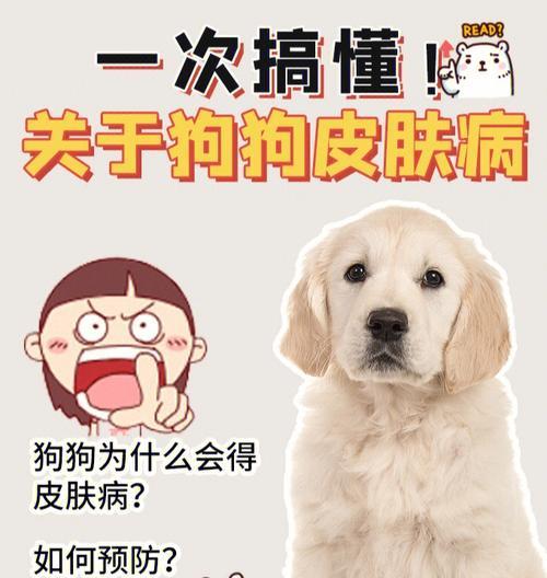 狗的健康靠维生素E（宠物犬如何得到足够的维生素E）