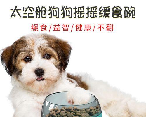 贵宾犬孕期护理详解（如何保证贵宾犬母狗及胎儿的健康）