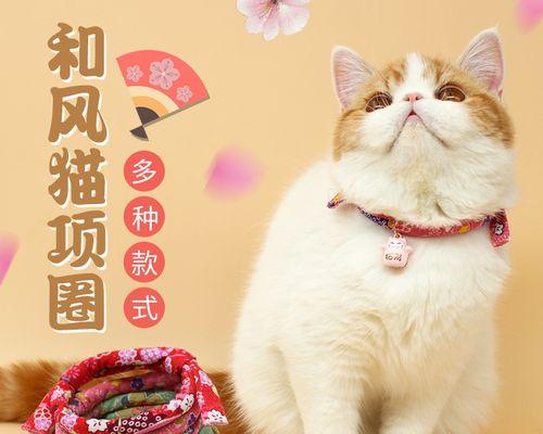 猫咪带项圈的时期（宠物猫咪的护颈必备知识）