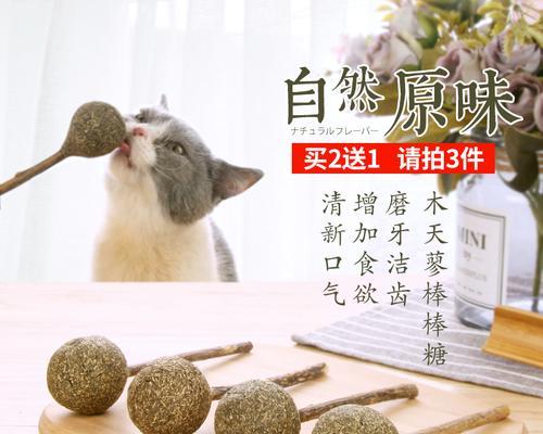 宠物猫咪为何需要木头磨牙（探究猫咪磨牙的重要性及如何选择适合的木头磨牙产品）