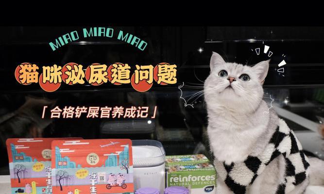 猫咪下泌尿道发病机理剖析（宠物的健康与疾病）