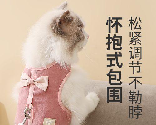 猫咪小声叫的原因（探究猫咪语言交流中的细节和秘密）