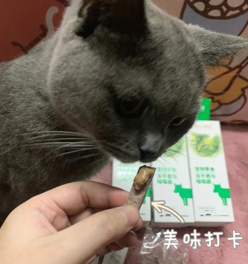 宠物猫咪一次应该吃多少克牛肉（了解你的猫咪的营养需求和身体状况）