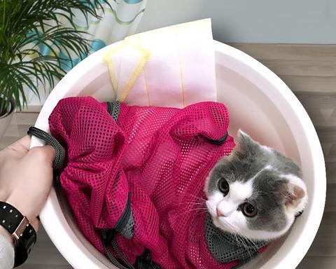 如何使用猫咪专用洗猫袋给宠物洗澡（洗猫袋的使用方法）