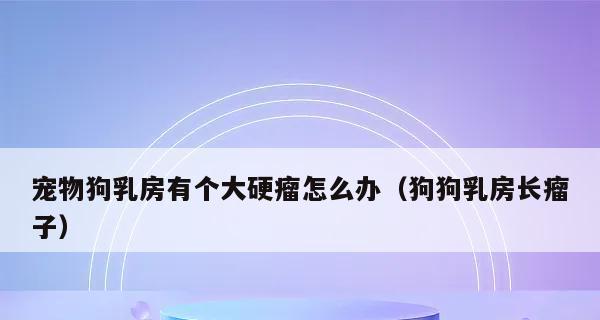 母狗桃子红肿是怎么了（探究母狗生殖系统问题的原因和处理方法）