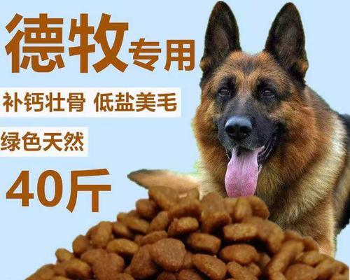 牧羊犬产后喂什么狗粮（选择健康营养的狗粮）