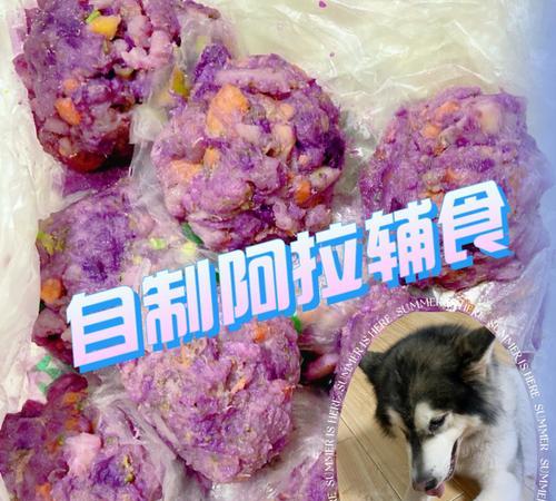 以品种狗为主的辅食营养指南（健康饮食）