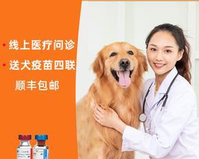 解读宠物犬六联疫苗（狗疫苗的种类和使用方法）