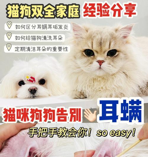 猫咪耳朵发炎该用什么药（治疗猫咪耳朵发炎的有效药物与使用方法）