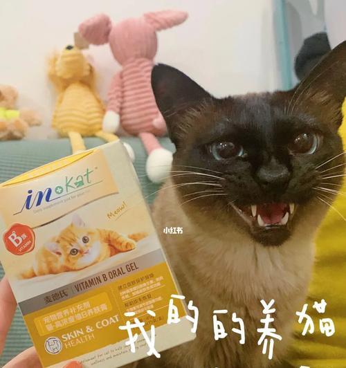 猫咪健康食谱（宠物常见营养缺乏与合理补充）