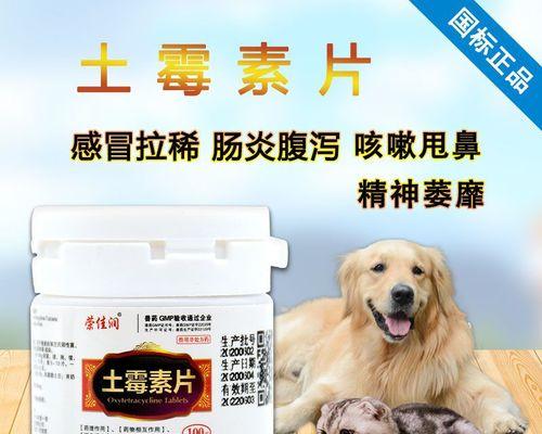 猫咪肠炎怎么办（宠物猫咪拉肚子肠炎的药品推荐）